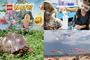 Atrakcje dla dzieci na weekend. LEGO Party, latawce, cyrk na wodzie i rodzinne warsztaty
