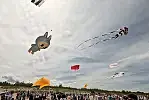 Odlotowa niedziela na plaży. Karnawał Latawców znów przyciągnął tłumy