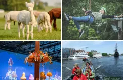 Czerwcówka 2026: atrakcje w Trójmieście i okolicach