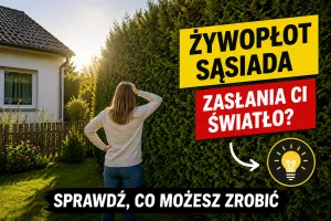 Żywopłot sąsiada zasłania Ci światło? Sprawdź, co możesz zrobić