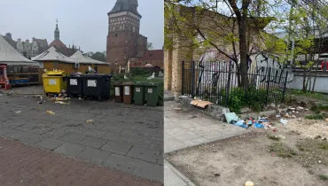 Trójmiasto tonie w śmieciach. I nie chodzi tylko o mewy