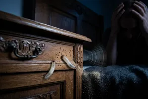 Plaga "korników" w polskich domach. Jeden niepozorny znak zdradza, że żerują w Twoim salonie