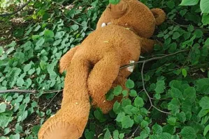 Nietypowa akcja ratunkowa. Wezwanie do pluszowego lisa