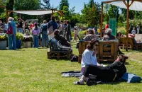 Festyny, pikniki i święta dzielnic. Kolejny weekend pełen darmowych atrakcji