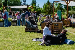 Festyny, pikniki i święta dzielnic. Kolejny weekend pełen darmowych atrakcji