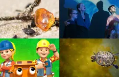 Atrakcje dla dzieci. 12 pomysłów na rodzinny weekend pełen zabawy, nauki i emocji