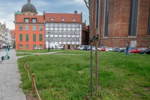 Niewykorzystany potencjał przy Bazylice Mariackiej