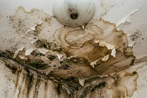 Ile kosztuje wykrywanie wycieków wody? Za te badania w 2026 roku słono zapłacisz
