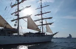 Gdyńska Parada Żaglowców odwołana. "Za mało chętnych"