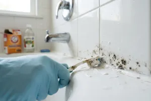 Czarny nalot na silikonie w łazience: skuteczne domowe sposoby