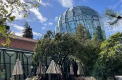 Oliwska palmiarnia zostanie umyta na błysk