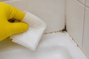 Jak usunąć czarny nalot w kabinie prysznicowej? Wyjaśniamy, które produkty z kuchni ci pomogą