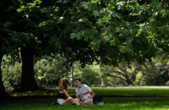 7 miejsc w Trójmieście idealnych na piknik