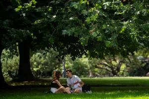 7 miejsc w Trójmieście idealnych na piknik