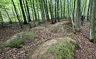 Tajemnicze kopce w lesie pod Gdynią. Czy to nieznane cmentarzysko kurhanowe?