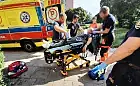Wycieńczony i pokryty muchami leżał na balkonie