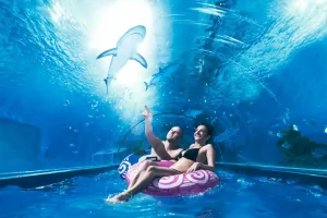 Aquapark Reda wyjaśnia: ucierpiały ryby, ale woda w basenach była bezpieczna
