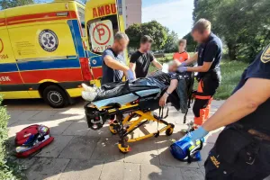 Wycieńczony i pokryty muchami leżał na balkonie