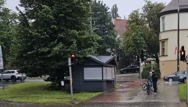 Pada? Ale zobaczcie, jak jest zielono!