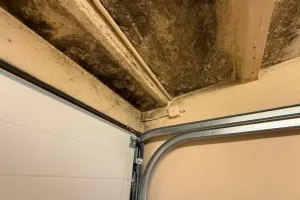 Lista skarg mieszkańców do spółdzielni. Grzyb, krzywe balkony, brak parkingu