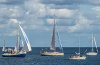Jubileuszowa edycja Baltic Sail 2026. Parada żaglowców odwołana