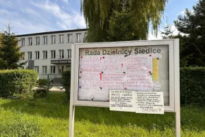 Mieszkańcy walczą o drzewa. Zebrali już ponad 300 podpisów. Wycinka tymczasowo wstrzymana