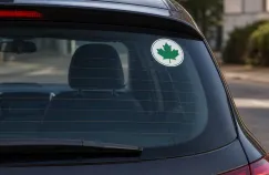 Co oznacza zielony listek na aucie? Ten symbol można spotkać na wielu autach
