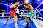 Ring w hotelu i wielkie emocje. Tak wyglądała Sheraton Boxing Night w Sopocie