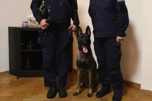Nowy czworonożny funkcjonariusz w gdyńskiej policji