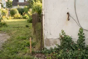 Ściana sąsiada w granicy działki. Co wolno zrobić bez jego zgody?