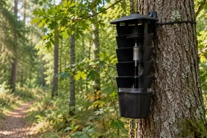 Widzisz taką skrzynkę w lesie? Lepiej jej nie dotykaj