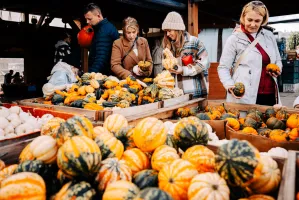 Dzisiaj pierwszy dzień jesieni. 5 sposobów, by to uczcić