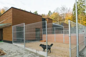 Ponad 1 mln zł na pomoc zwierzętom z Budżetu Obywatelskiego w Gdyni