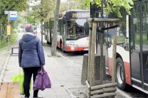 Przeniesiony przystanek w ogniu krytyki. Czy wróci na dawne miejsce?