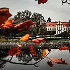 Poznaj tajemnice Parku Oliwskiego. Specjalne spacery