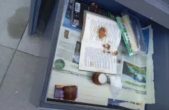 Był wibrator, są ciastka. Biblioteka w Gdyni apeluje: to nie śmietnik