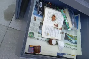 Był wibrator, są ciastka. Biblioteka w Gdyni apeluje: to nie śmietnik