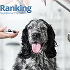 Ranking 2026: najlepsza pielęgnacja zwierząt w Trójmieście