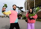 Rośliny od 5 zł i odmiany kolekcjonerskie. Trwa Festiwal Roślin w Polsat Plus Arenie