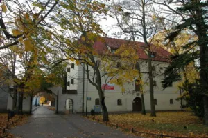 Bariera dwóch pięter i kultury osobistej