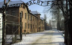 Złodzieje z Auschwitz zatrzymani w Gdyni