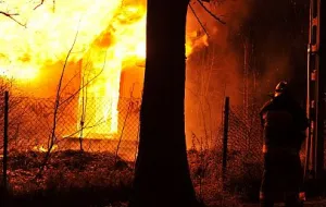 Nocny pożar na Witominie