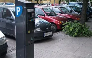 Zepsute parkometry utrudniają życie w Gdyni