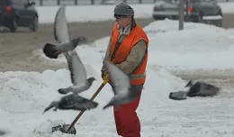 Gdańsk wyda milion na wywożenie śniegu