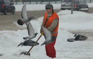 Gdańsk wyda milion na wywożenie śniegu