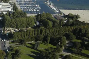 Gdynia: znika Aleja Topolowa. Czas na buki i graby