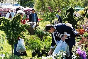 Weekend dla miłośników ogrodów w Parku Kolibki