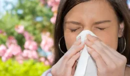 Wiosna i lato, czyli utrapienie alergików