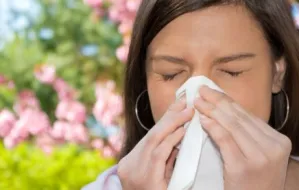 Wiosna i lato, czyli utrapienie alergików