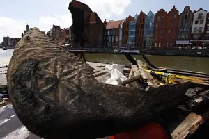Po 300 latach wydobyto cenny wrak z Martwej Wisły